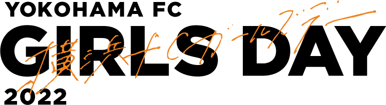 Kv logo pc